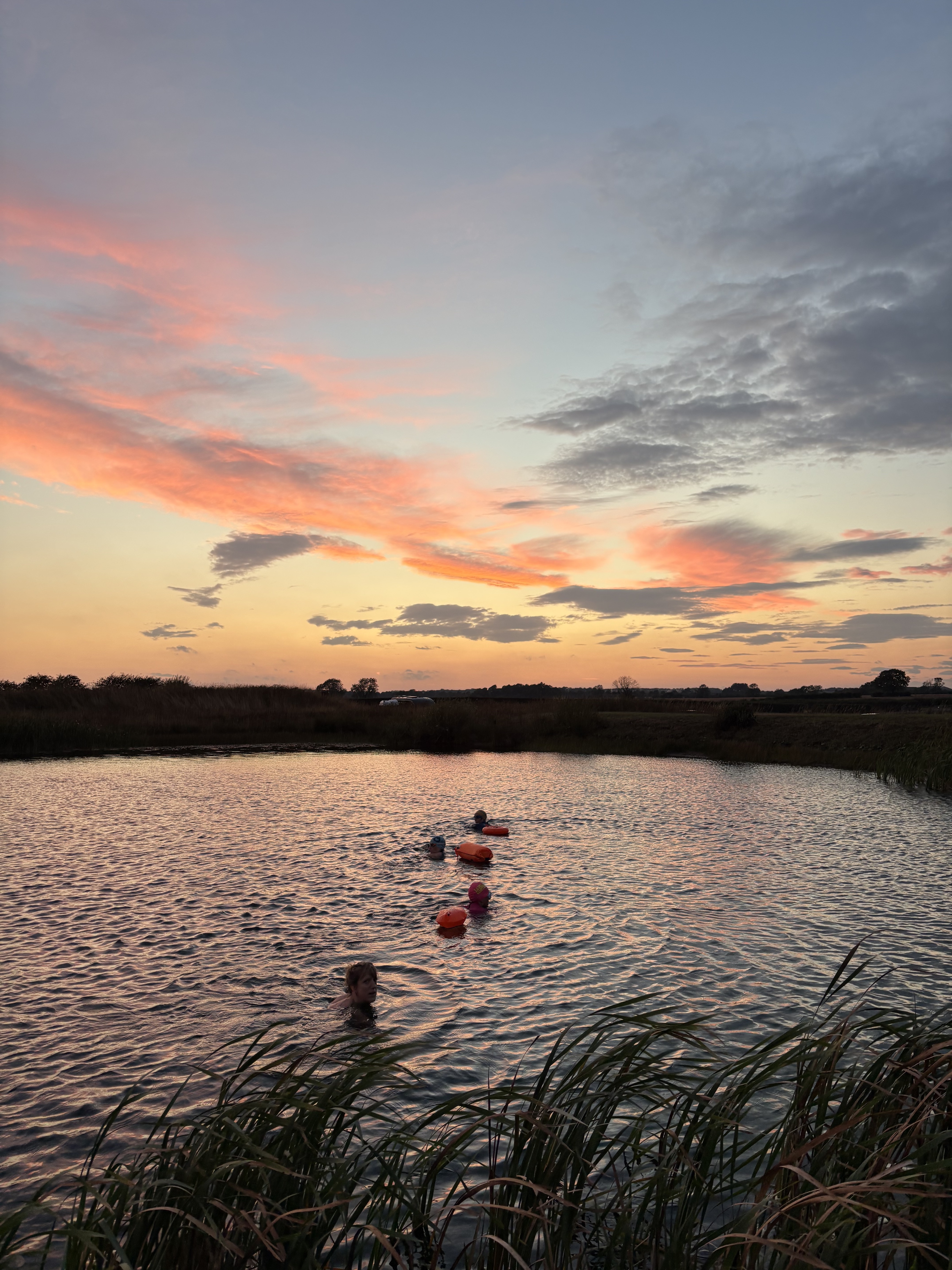 Evening swimmers beneath a pink sunset